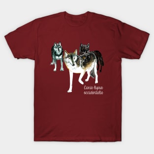 Northwestern Wolf T-Shirt